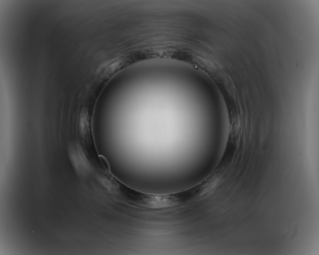 X0000086990623200704161507