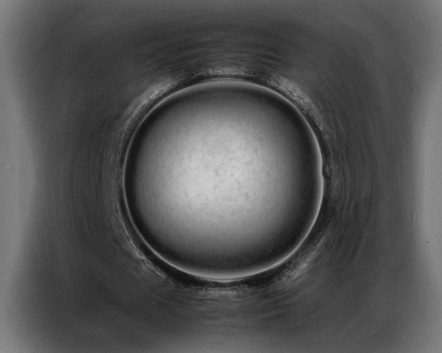 X0000086990625200704161506