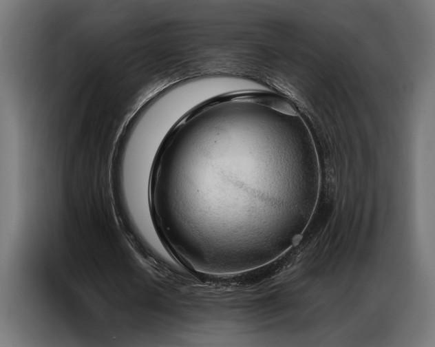 X0000086990626200704161506