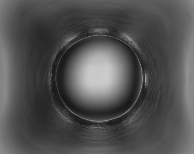 X0000086990627200704161506