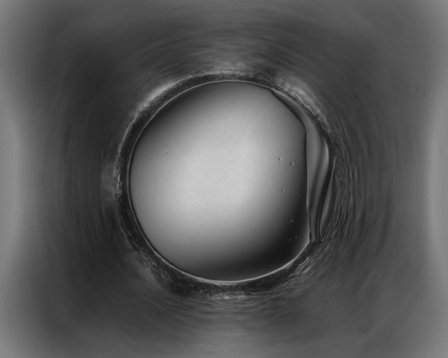X0000086990628200704161506