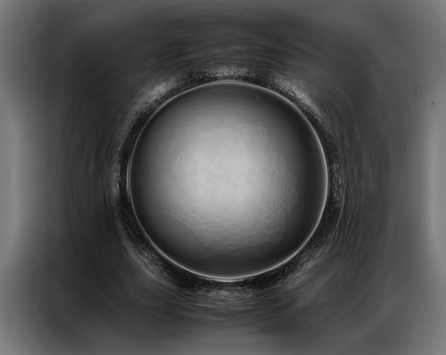 X0000086990631200704161506