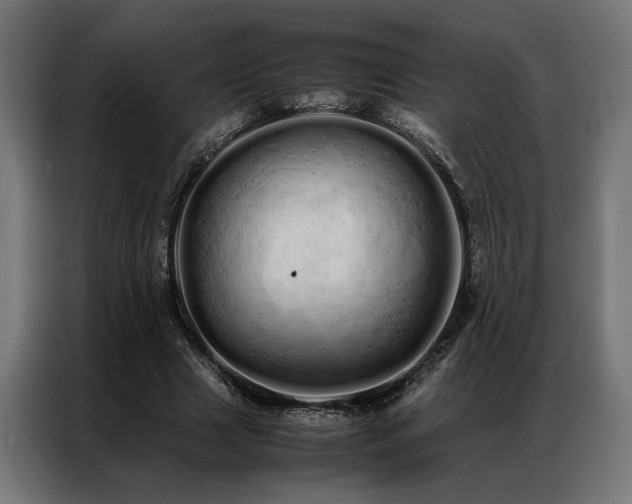 X0000086990633200704161506
