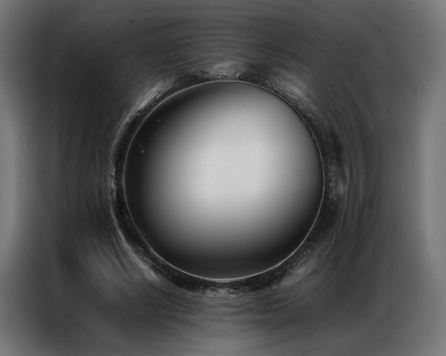 X0000086990634200704161506