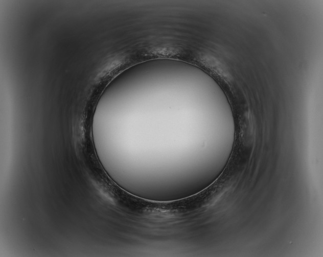 X0000086990635200704161506