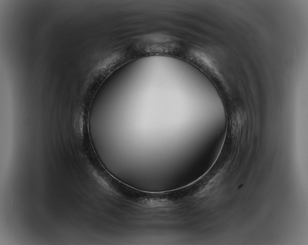 X0000086990637200704161506
