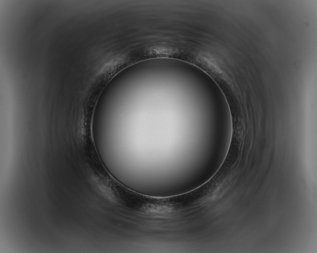 X0000086990639200704161506