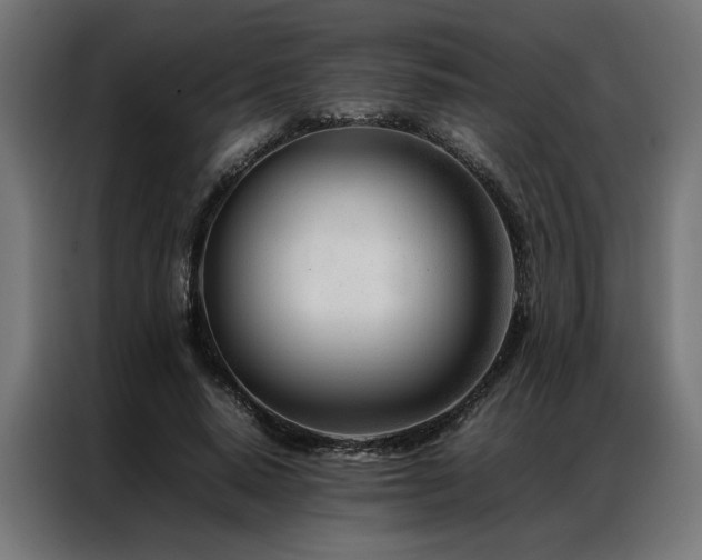 X0000086990640200704161506