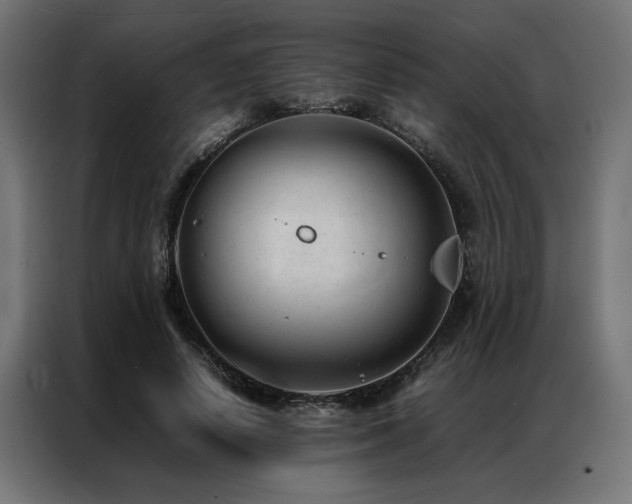X0000086990642200704161507