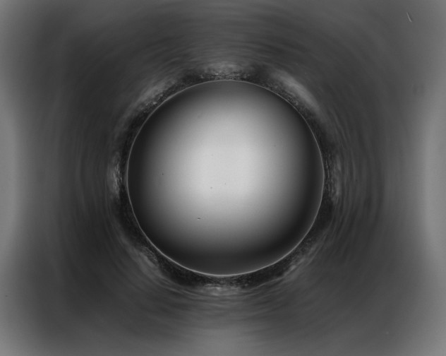 X0000086990644200704161507