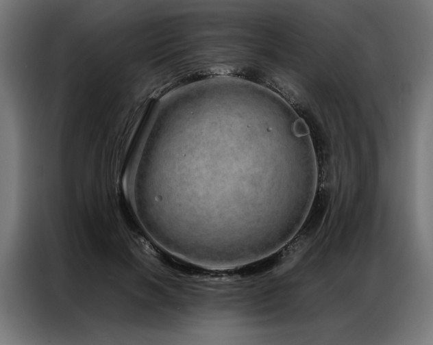 X0000086990646200704161507