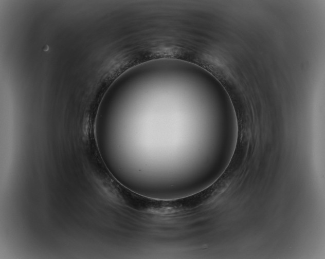 X0000086990647200704161507