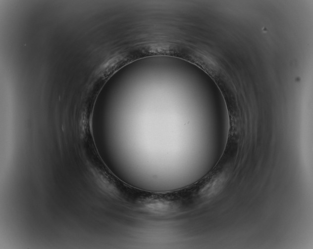 X0000086990648200704161507