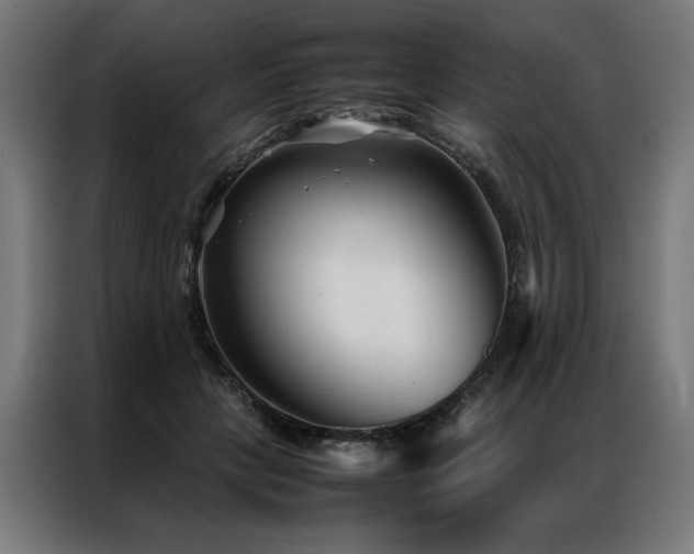 X0000086990649200704161507