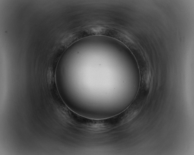 X0000086990651200704161507