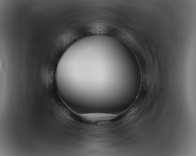 X0000086990652200704161507