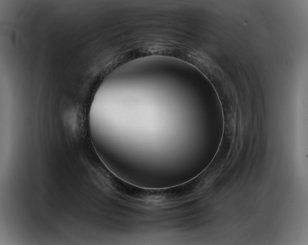 X0000086990653200704161507