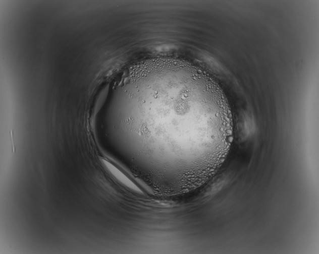 X0000086990654200704161507