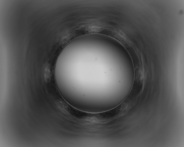 X0000086990655200704161507