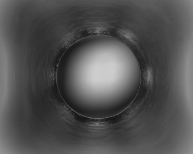 X0000086990657200704161507
