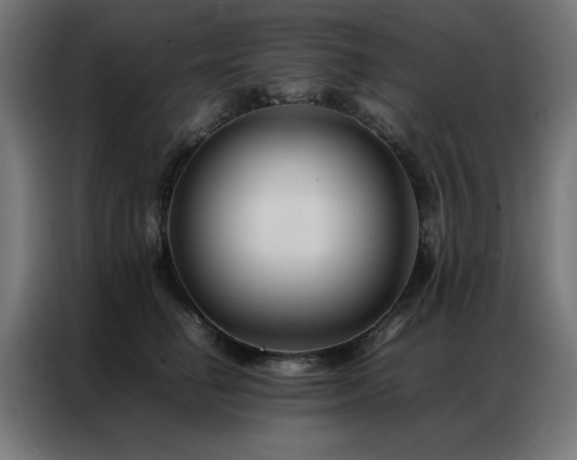 X0000086990662200704161507