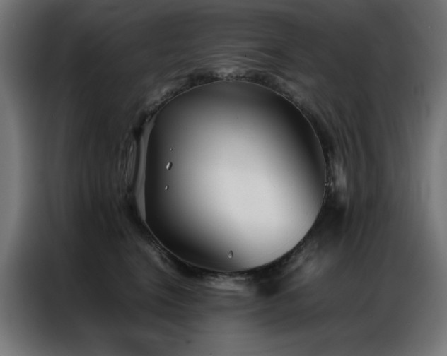 X0000086990664200704161507