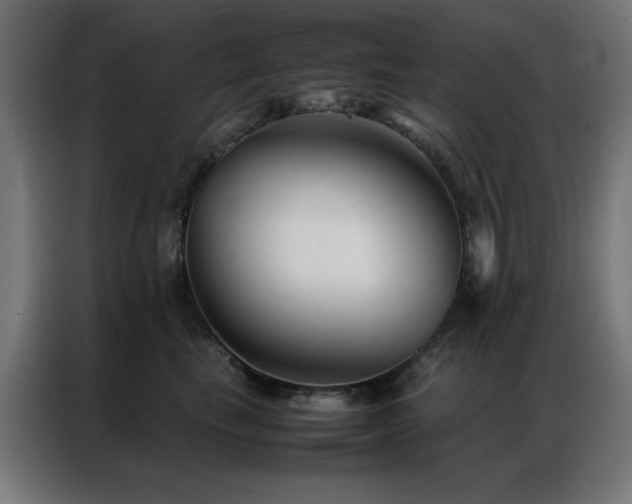 X0000086990665200704161507