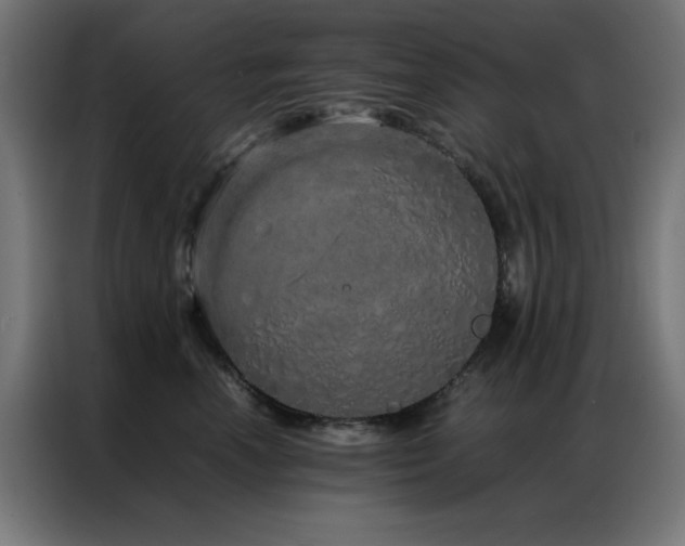 X0000086990666200704161507