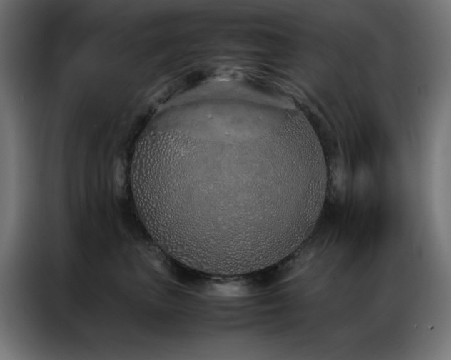 X0000086990667200704161507