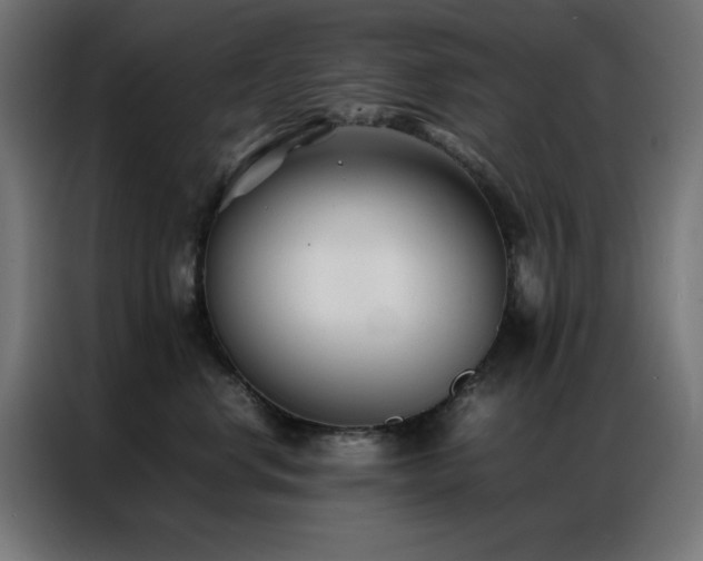 X0000086990668200704161507