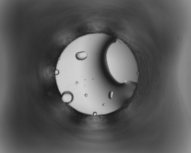 X0000086990672200704161507