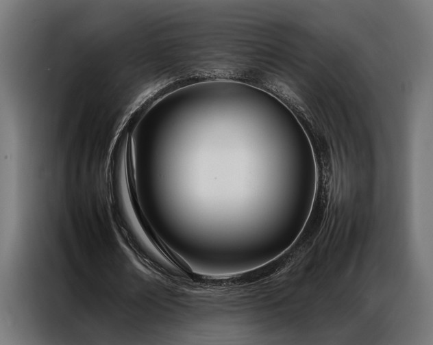 X0000086990674200704161506
