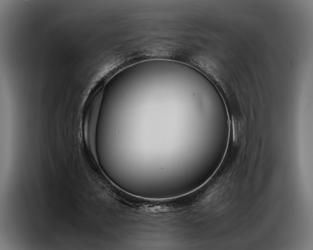 X0000086990675200704161506