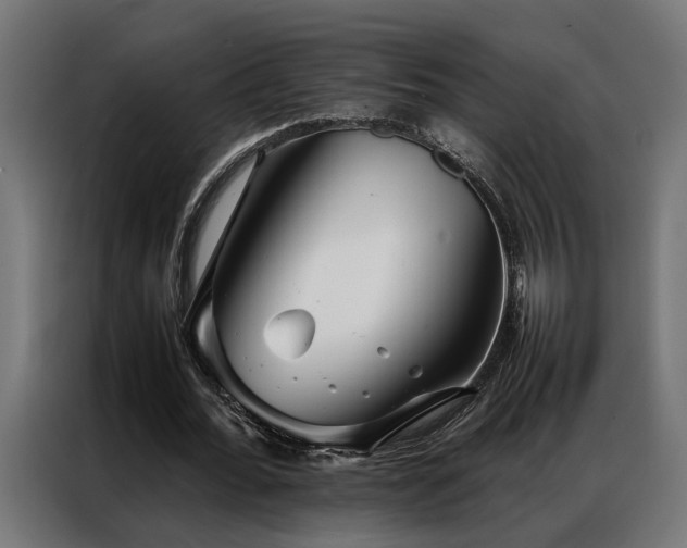 X0000086990676200704161506