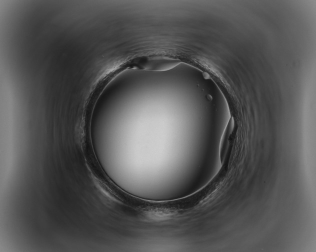 X0000086990677200704161506