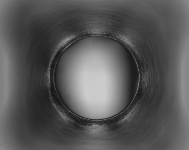 X0000086990678200704161506