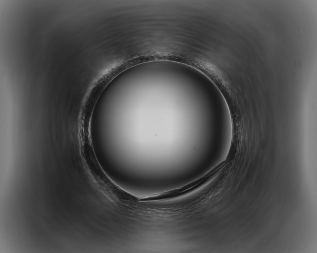 X0000086990680200704161506