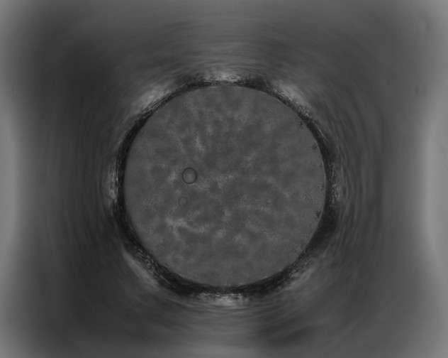 X0000086990683200704161506