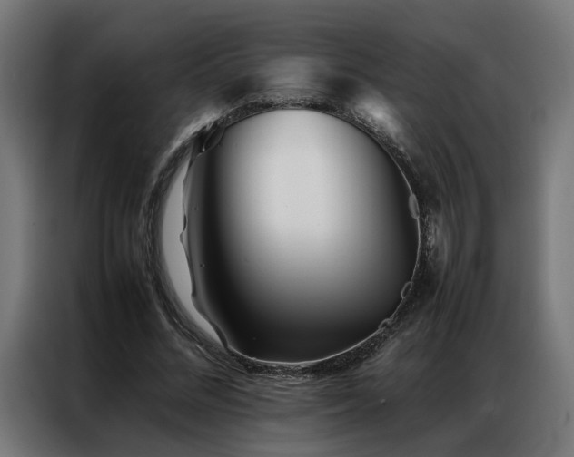 X0000086990684200704161506
