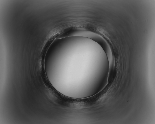 X0000086990685200704161506