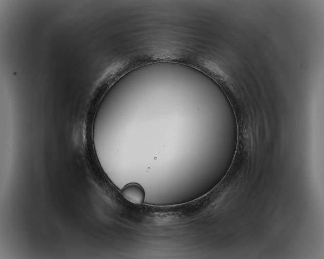 X0000086990686200704161506