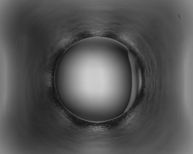 X0000086990689200704161506