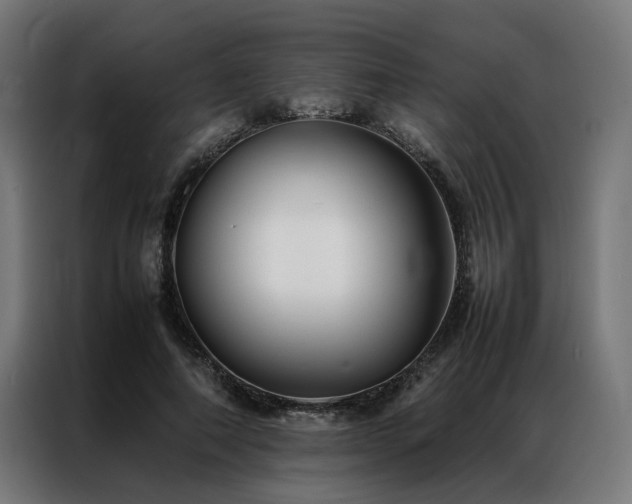 X0000086990690200704161506