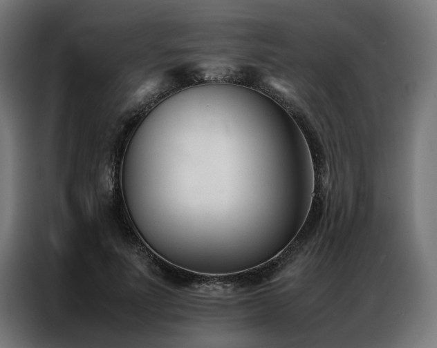 X0000086990691200704161506