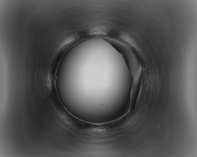 X0000086990692200704161506