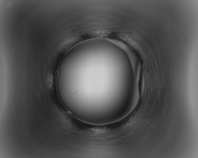X0000086990693200704161506