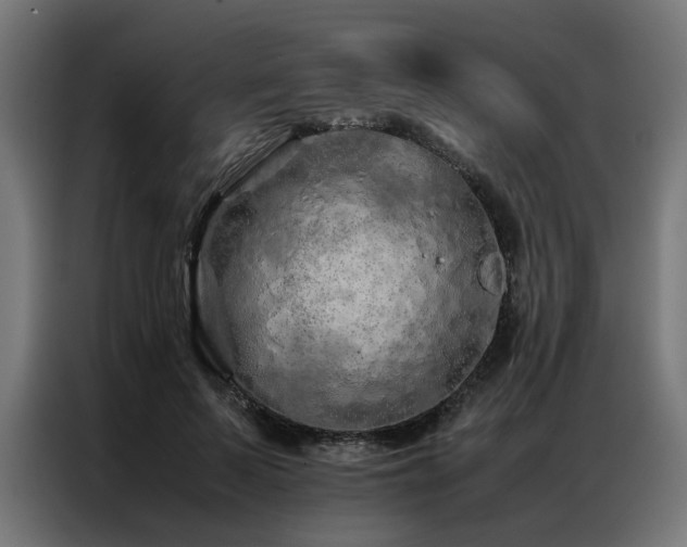 X0000086990695200704161506