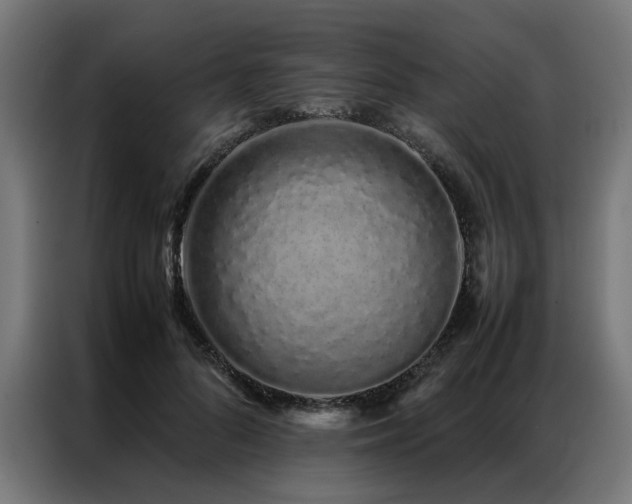 X0000086990696200704161506