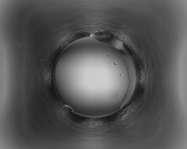 X0000086990697200704161506