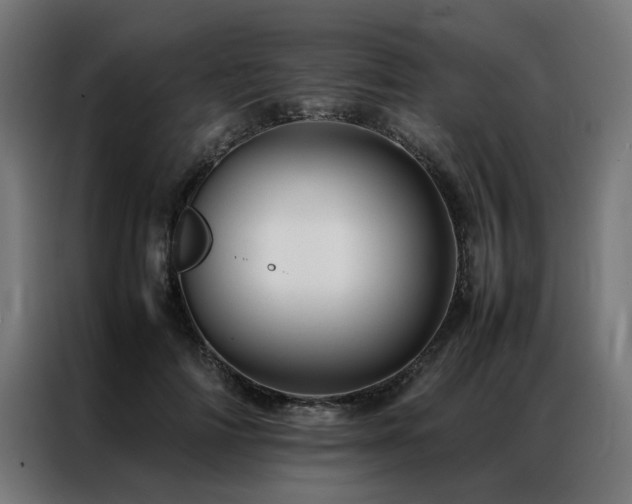 X0000086990698200704161506